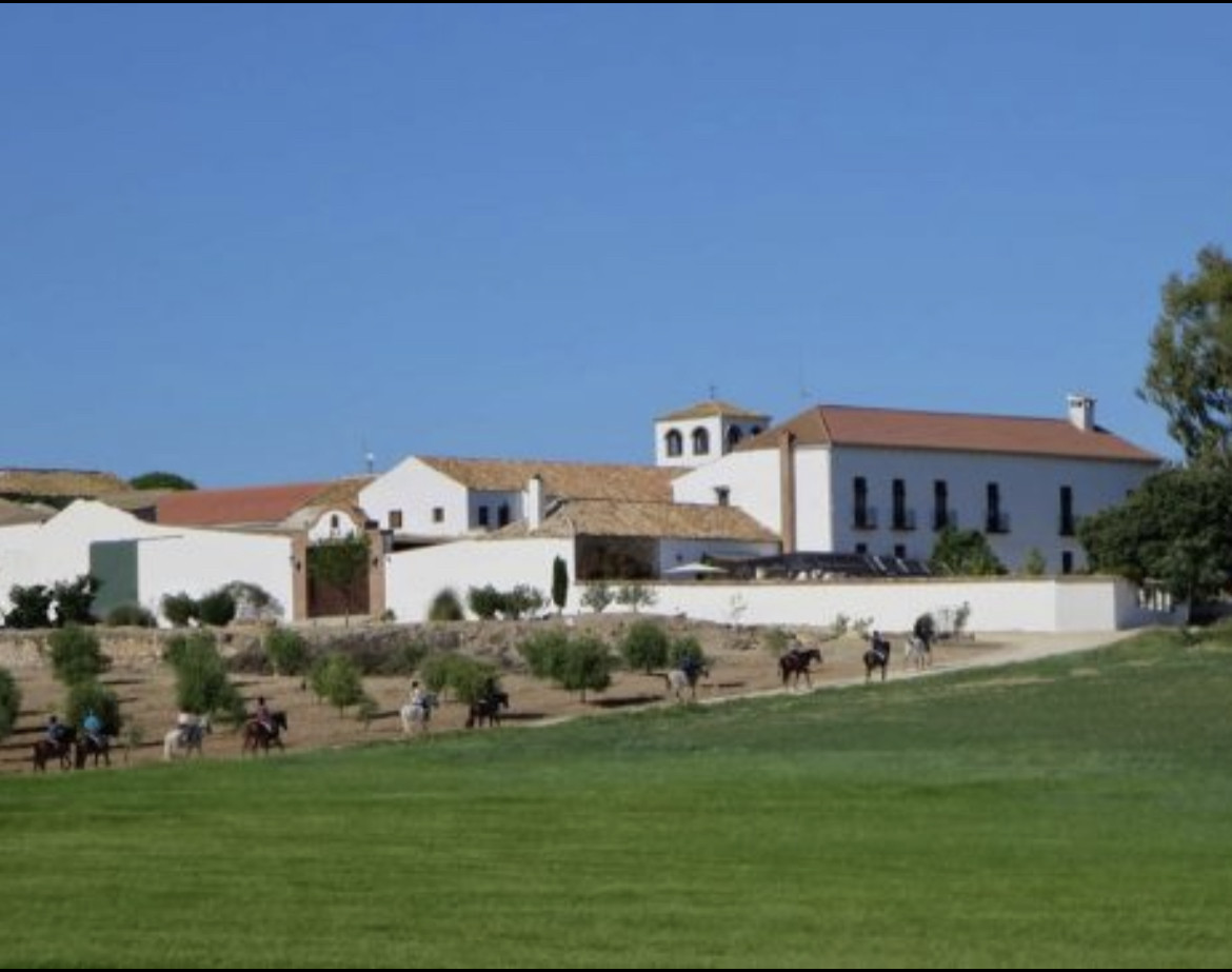 20 Bedroom Country house in Mollina