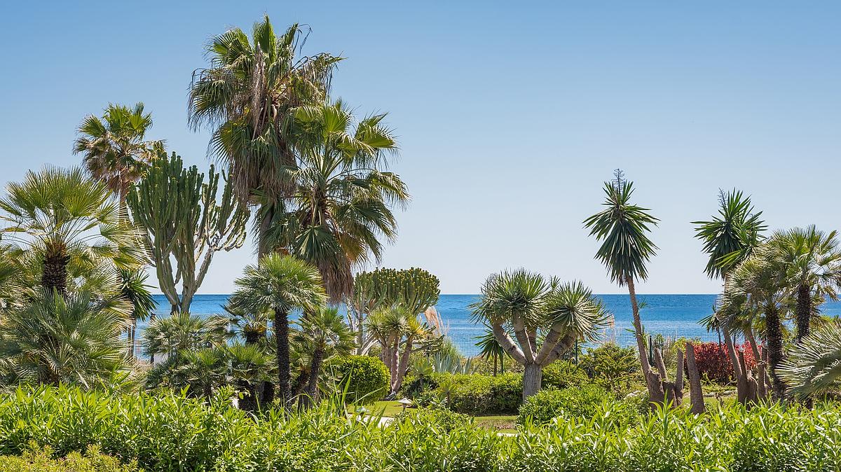 3 Bedroom Apartment in Estepona