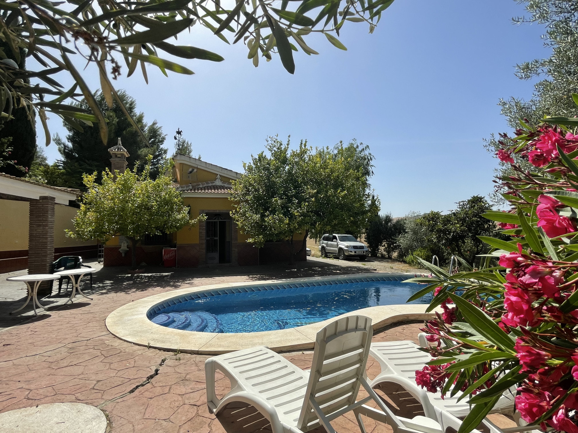 14 Bedroom Country house in Villanueva de la Concepcion