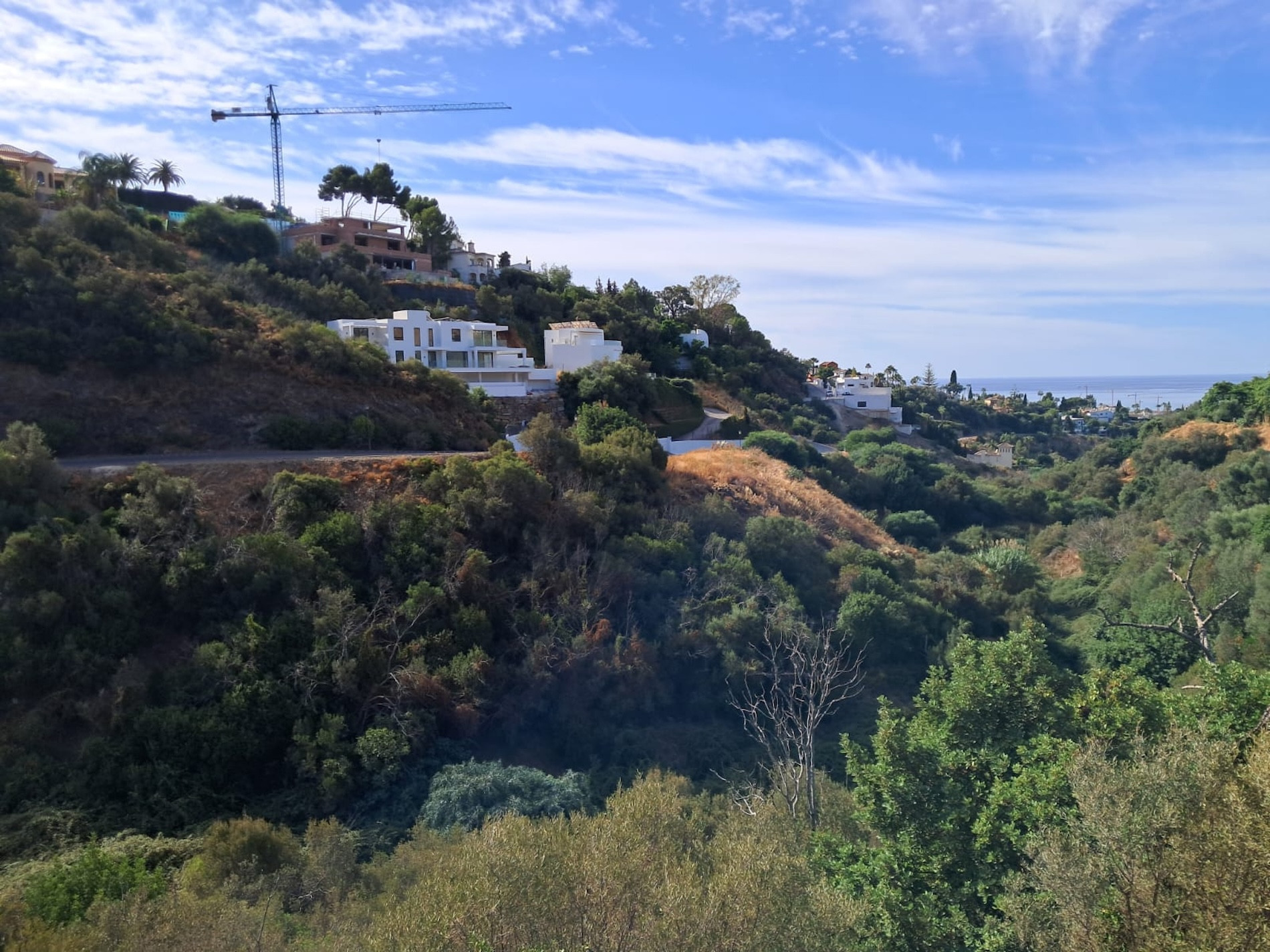 Terrain à vendre à El Rosario, Marbella